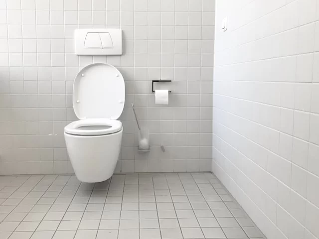 World toilet day